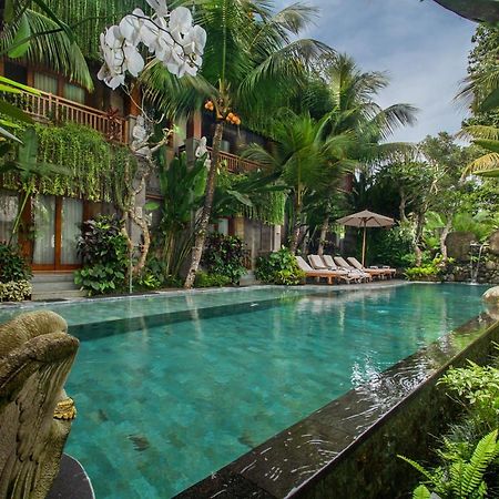 Weda Cita Resort And Spa By Mahaputra أوبود المظهر الخارجي الصورة The swimming pool at the hotel